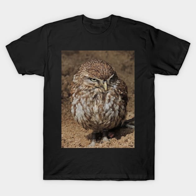 Little Owl T-Shirt by AlexaZari